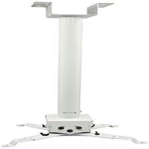 Rosolly 2 Feet Ceiling Mount Round