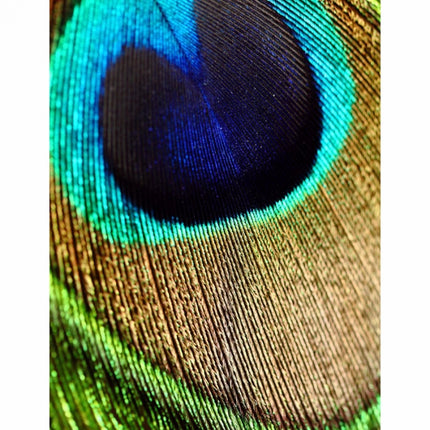 Rosolly Zoom Peocock Effect image Mobile Case Cover