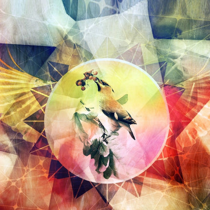 Rosolly Colorful Texture with Bird Mobile case cover