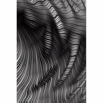 Rosolly Zebera Lines Texture Effect Mobile Case Cover