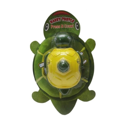 Rosolly Pack Of 2_Turtle Pull Back Toy | Plastic | Toys | 5+ Years
