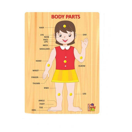 Rosolly Body Parts | Wood | Educational Toys | 3+ Years