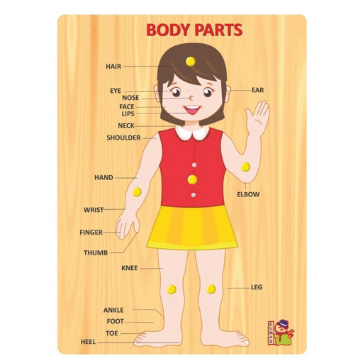 Rosolly Body Parts | Wood | Educational Toys | 3+ Years