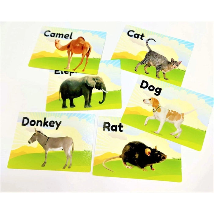 Rosolly Flash Card-Animal | Plastic | Educational Toys | 6+ Months