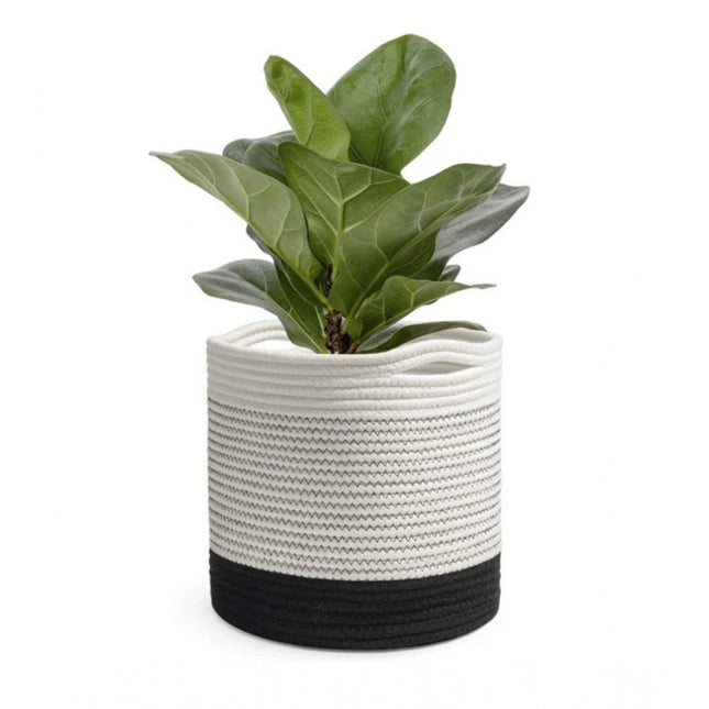 Rosolly Cotton Large Woven Storage Basket 10x10 Inch Pack of 1 (White)
