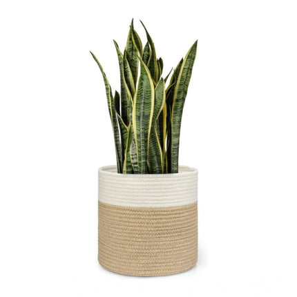 Rosolly Cotton Large Woven Storage Basket 11x11 Inch Pack of 1 (Beige White)