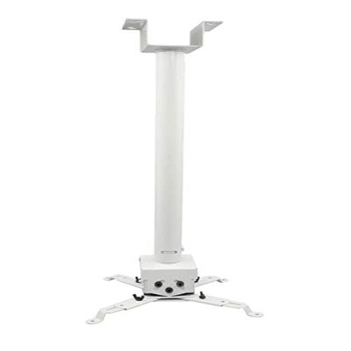 Rosolly 3 Feet Ceiling Mount Round